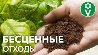 ОСТАНОВИТЕСЬ Вы выбрасываете это УДОБРЕНИЕ ДЛЯ РАССАДЫ каждый день