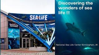 Sea Life Safari 4K A Journey into the Underwater Realm #sealife #birmingham #underwaterphotography