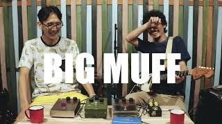  Guitar effects pedals Lab.  Electro-Harmonix BIG MUFF  Vintage vs New vs Russian vs Modeling