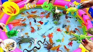 Colorful Cute Animals Carp Shark Goldfish Turtle Baba Duck GuppiesBettaCrocodileCrabSnake