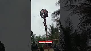 detik detik panjat pinang berhasil naik #video #shorts #lomba #indonesia