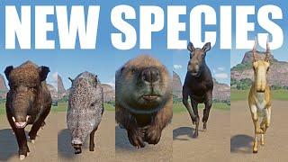 New Species Animals Speed Races in Planet Zoo included Central European Wild Boar Eurasian Beaver