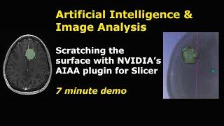 Artificial Intelligence & Image Analysis