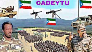 War deg dega ciidanka DDS oo dagaal culus cagta kumariyay milateriga Itobiya Cadaytu