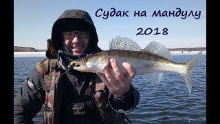 Ловля Судака на Мандулу апрель 2018