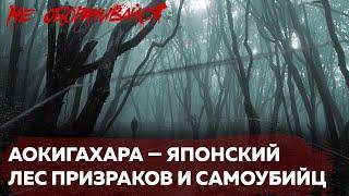 Японский лес самоубийц  Страшные истории  Мистика  НЕ ОБОРАЧИВАЙСЯ