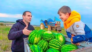 Playing watermelon farm works and riding tractors to help dad  Kidscoco Club