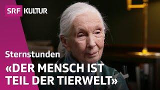 Jane Goodall was unterscheidet uns vom Schimpansen?  Sternstunde Philosophie  SRF Kultur