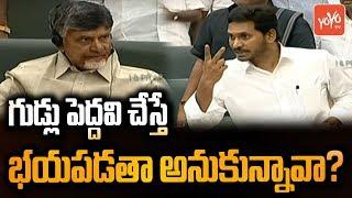 AP CM Jagan Serious Warning to Chandrababu Naidu Behaviour in AP Assembly  TDP Vs YSRCP  YOYO TV