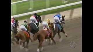 2004 Belmont Stakes - Birdstone + Post Race