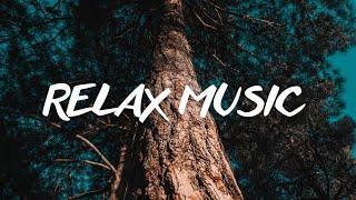 DEEP SLEEPING MUSIC. Calming Music Insomnia Sleep Relaxing Music Study Sleep Meditation