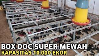 CONTOH KANDANG BOX SUPER MEWAH