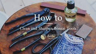 Bonsai Tool Maintenance How do you clean and sharpen Bonsai Tools?   Wazakura Japan