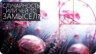 ЧИСЛА ФИБОНАЧЧИ УДИВИТЕЛЬНАЯ ЗАКОНОМЕРНОСТЬ Число ФИ и Золотое сечение