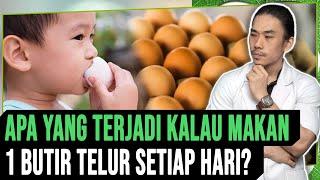 Apa yang Terjadi Kalau Kamu Makan Telur 1 Butir Setiap Hari?