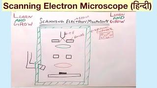 Scanning Electron Microscope हिन्दी