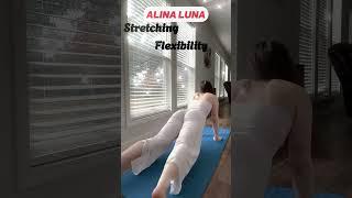 Morning Yoga Flexible Stretching Splits #shorts