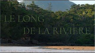 Documentaire animalier Okinawa Freng sub - Le Long de la rivière