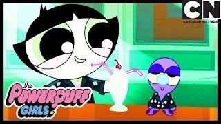 THE BEST PARTNER  The Powerpuff Girls FUNNY CLIP Cartoon Network