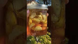 Fermented Garlic Honey super immunity booster