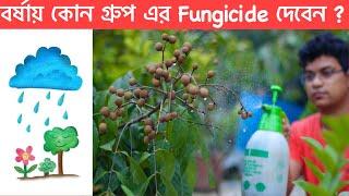 বর্ষায় বেস্ট ছত্রাকনাশক কোনটি ?  Best Fungicide for monsoon  বর্ষায় গাছের যত্ন