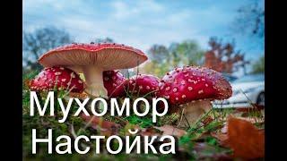 Мухомор. Три рецепта в трех словах. Amanita muscaria. Мухомор ч.1.