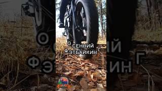 Фэтбайк в сентябре осенний фэтбайкинг #фэтбайк #fatbike #велосипед #cycling