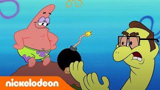 SpongeBob Schwammkopf  Ist Patricks Haus ein Schildkrötenpanzer?  Nickelodeon Deutschland