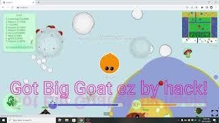 MOPE.IO NEW HACK 2024 FREE XP FREE COINS AUTO KILL 1V1 BOTFREE SKINS AND MORE