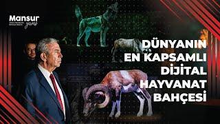 DÜNYANIN EN KAPSAMLI DİJİTAL HAYVANAT BAHÇESİ