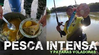 CÓMO PESCAR PAYARAS VOLADORAS. los mejores SEÑUELOS para una PESCA INTENSA de PAYARAS.