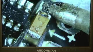 Andonstar AD407 4MP Microscope Review