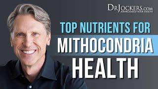 Top Nutrients For Mitochondria Health