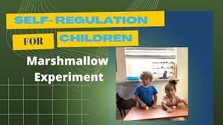 Self Regulation Controlling Behavior in Children