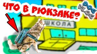 DOGVLOG ХАСКИ ИДЕТ В ШКОЛУ ЧТО В МОЕМ РЮКЗАКЕ? Говорящая собака