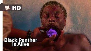 Black Panther is Alive Hindi Scene