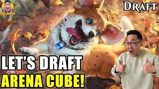 The Road To Rank Fun Begins  Arena Cube Draft  MTG Arena