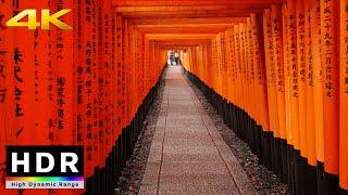 【4K HDR】Rainy Walk in Kyoto Fushimi Inari Shrine 京都散歩 - Summer 2020