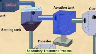 How do wastewater treatment plants work?