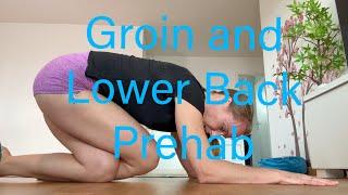 Groin and Lower-back Prehab