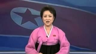 Over-Enthusiastic North Korea TV Anchor Announces Rocket Launch