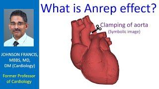 What is Anrep effect?
