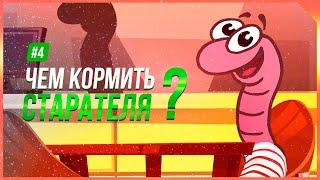 #4. Чем кормить червя Старатель?