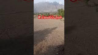 sheikh baba shinwari new videos