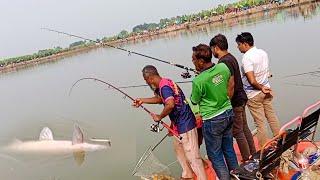 ৫০০০০ টাকায় এত বিশাল মাছ আগে কোনো দিন কেউ দেখেনি