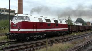 Die Dicke 118 770-7 mit Fotogüterzug im Vogtland und im Erzgebirge