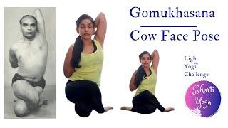 Gomukhasana  Cow Face Pose  Step by Step  Light on Yoga Challenge  Iyengar Yoga