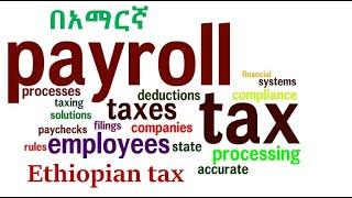 How to prepare  payroll with Ethiopia context  prepare payroll sheet on MS Excel in Amharic 2021