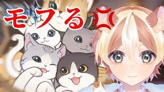 【原神】猫ちゃんかわいすぎだろ！かわいすぎ罪でモフモフの刑に処す！！！【モフモフの城にゃん冒険】