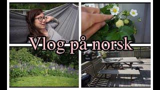 VERANDAEN OG HAGEN VÅR  HVERDAGEN MIN  VLOG PÅ NORSK mit Untertiteln